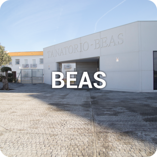 beas