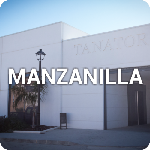manzanilla1